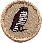 Hawk Patrol